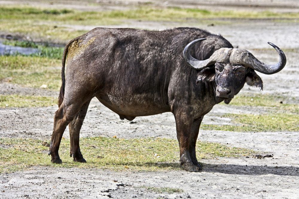 Photograph by Drora Baharal