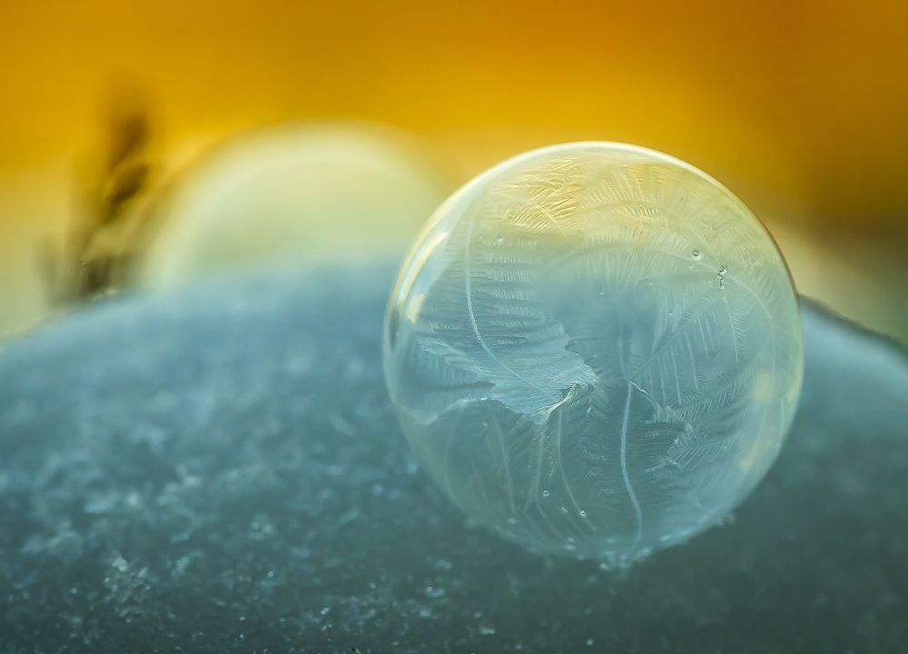 Photograph by Katja Sen