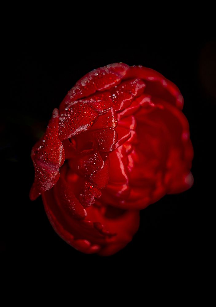 Photograph by Katja Sen