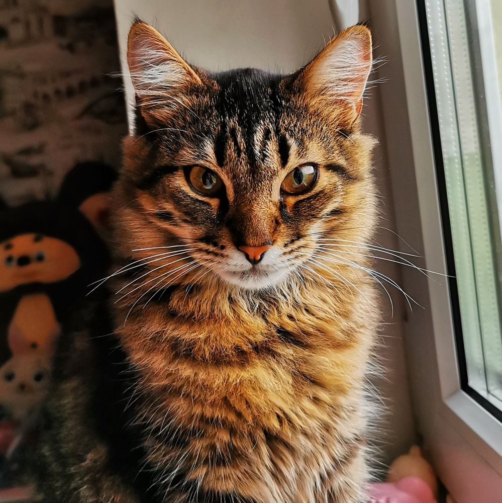 Photograph by Uladzimir Lazavik