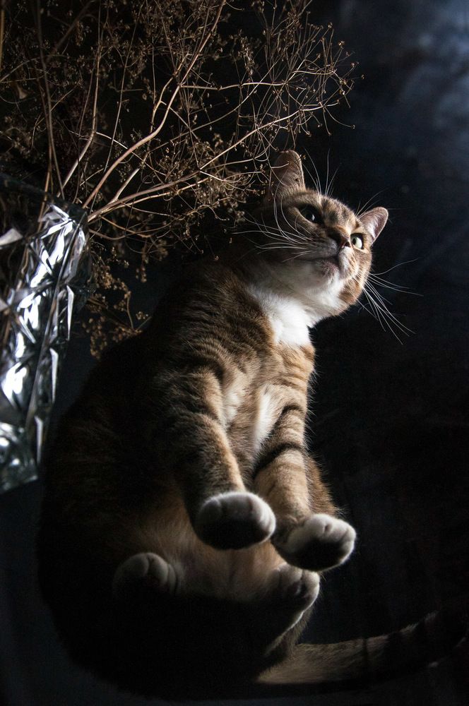 Photograph by Логинова Светлана