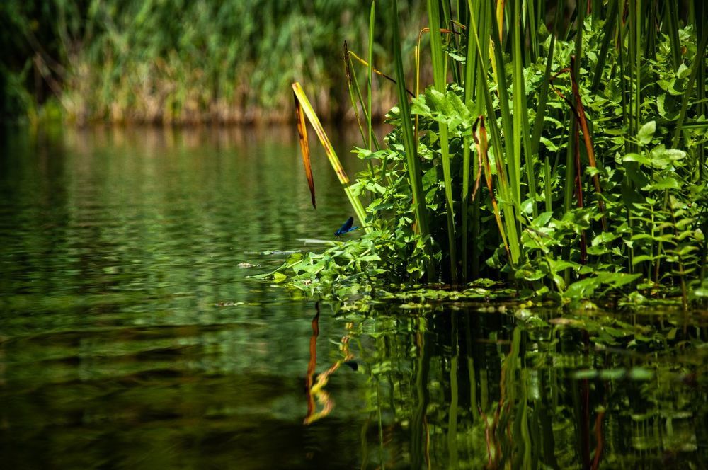 Photograph by Ольга Кудина