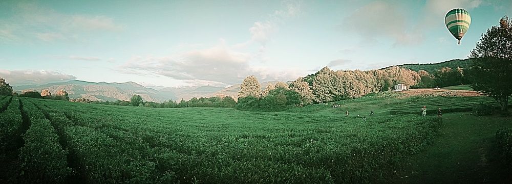 Photograph by Николай Ковальчук