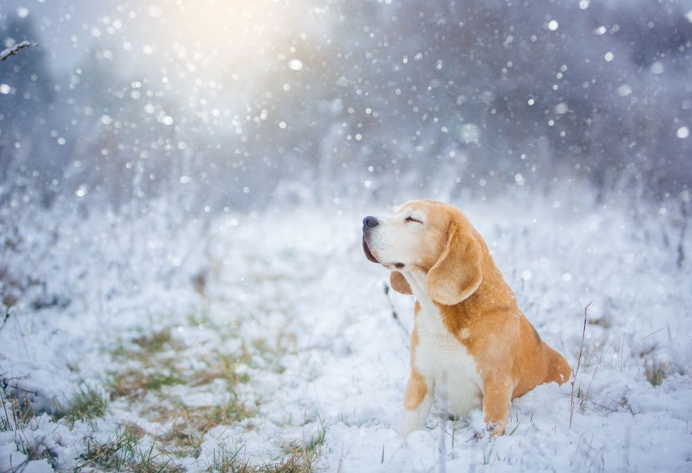 Фотография автора Katerina Mumzhinskaya