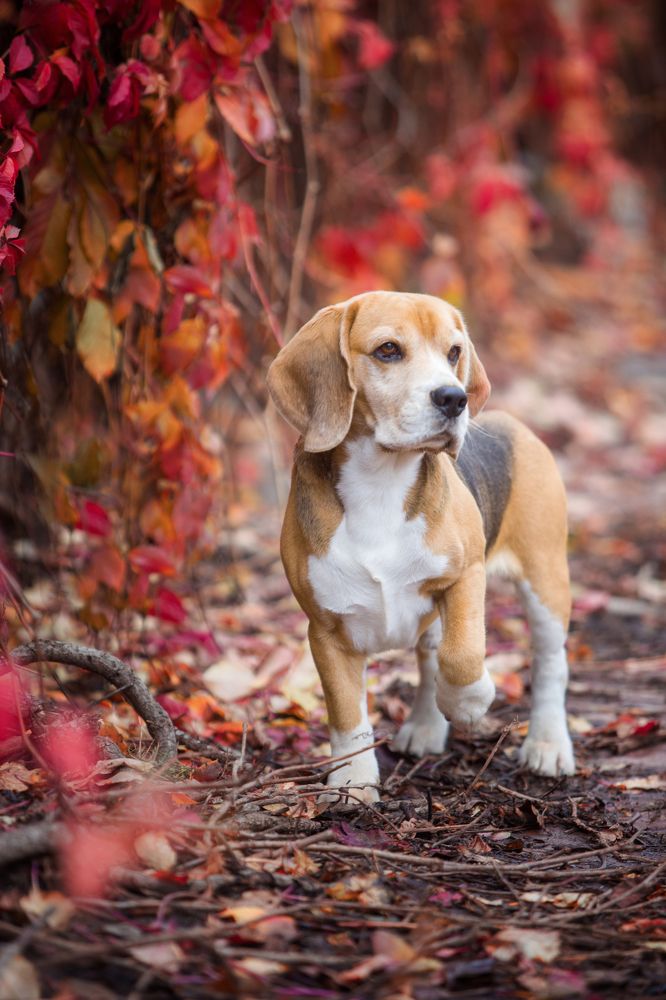 Фотография автора Katerina Mumzhinskaya