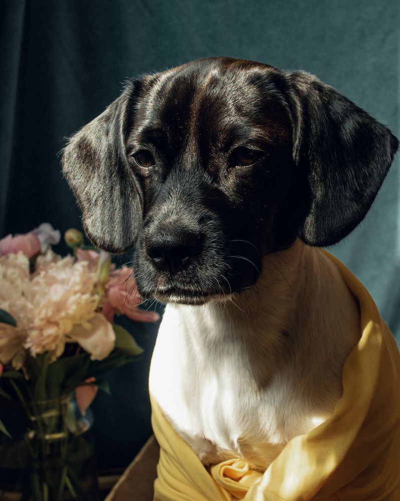 Photograph by Елена Квасова