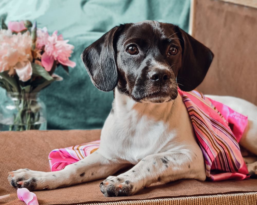 Photograph by Елена Квасова