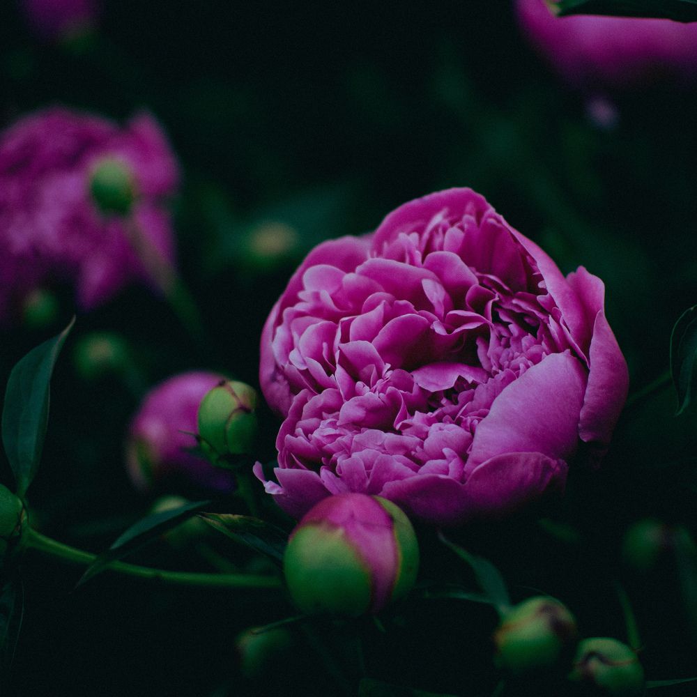 Photograph by Екатерина Ушакова