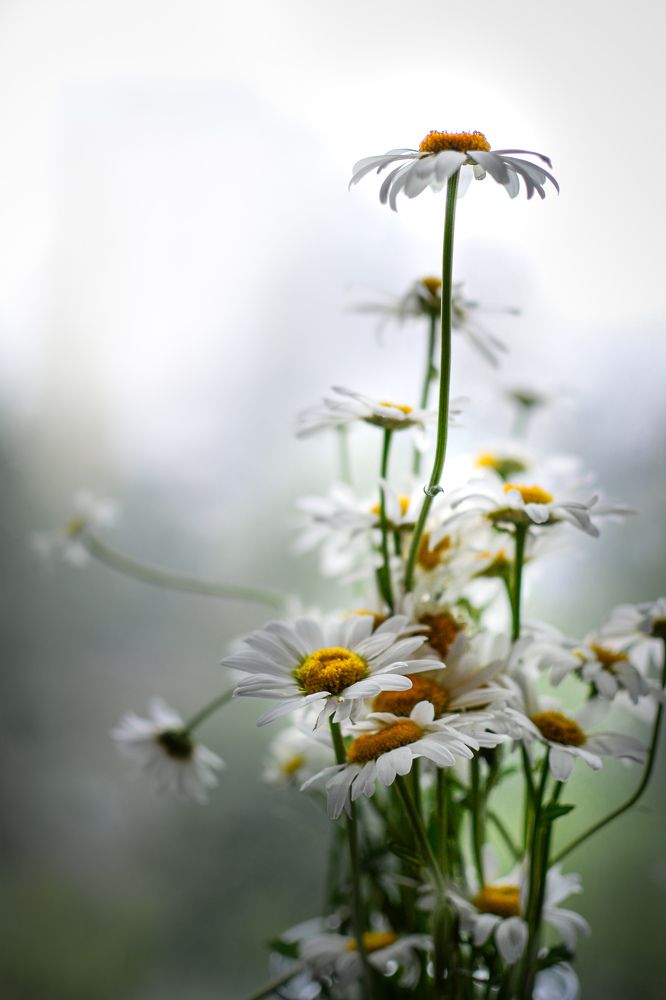 Photograph by Екатерина Ушакова