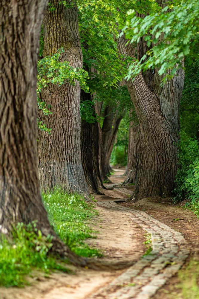 Photograph by Вячеслав Зайц
