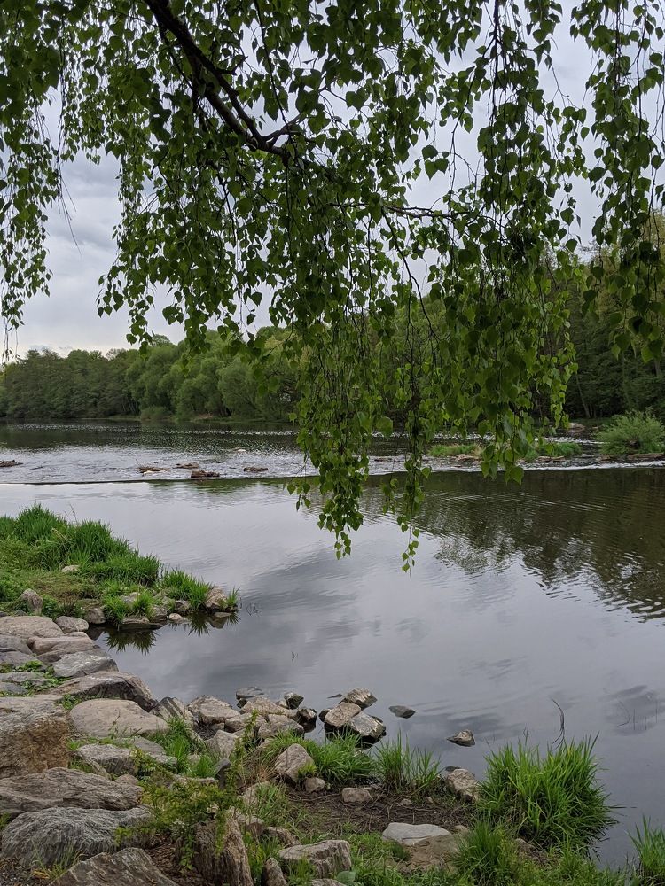 Photograph by Gabriela Meghnini