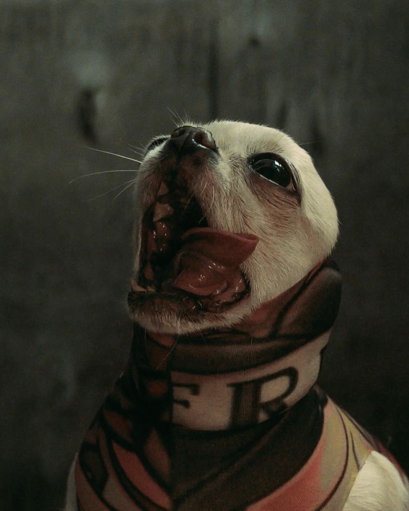 Photograph by Александра Бондаренко