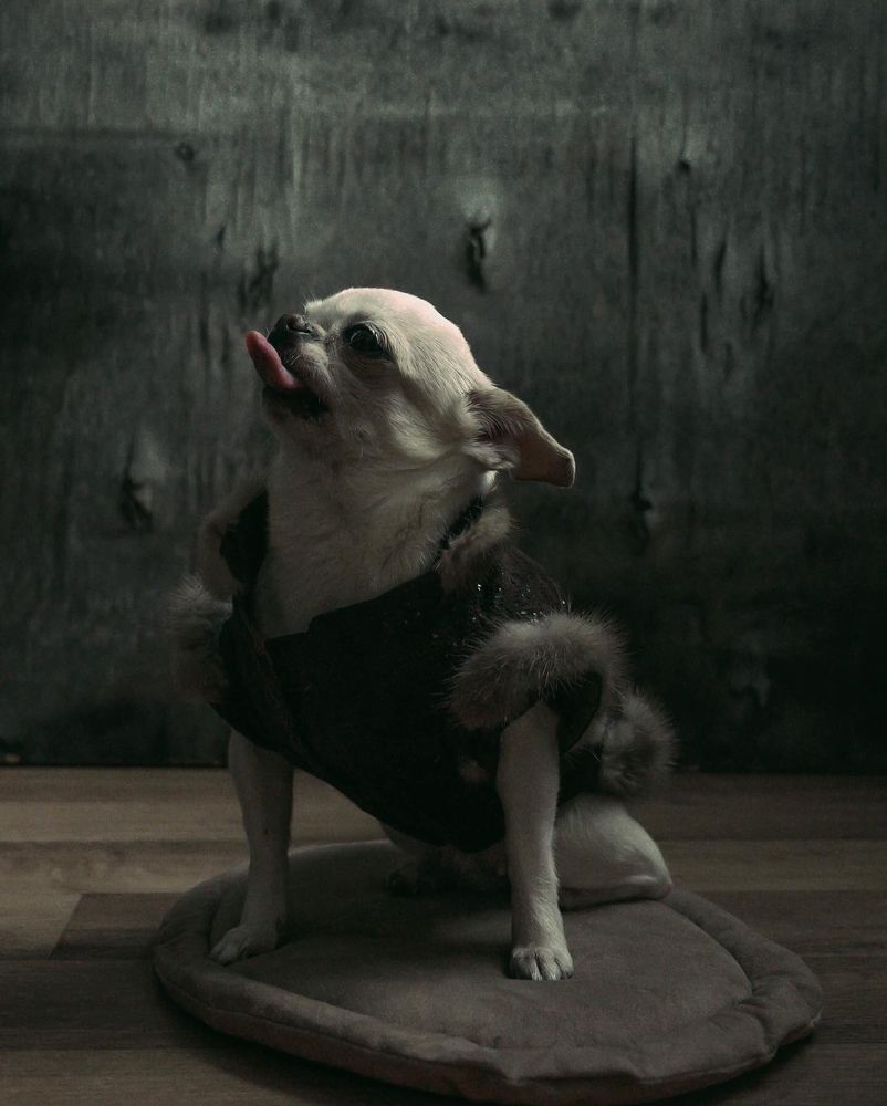 Photograph by Александра Бондаренко