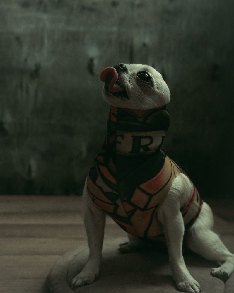 Photograph by Александра Бондаренко