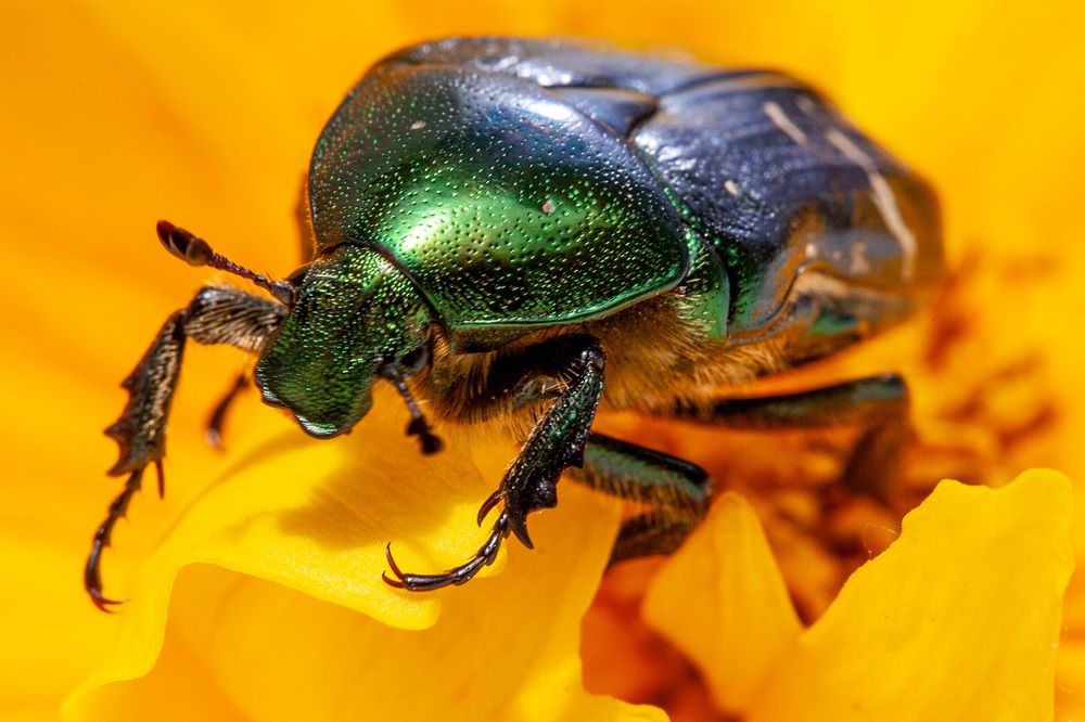 Photograph by Виктор Холодов