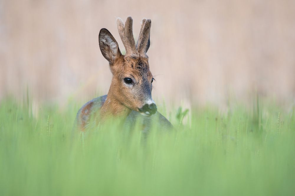 Photograph by Дмитрий Вилюнов