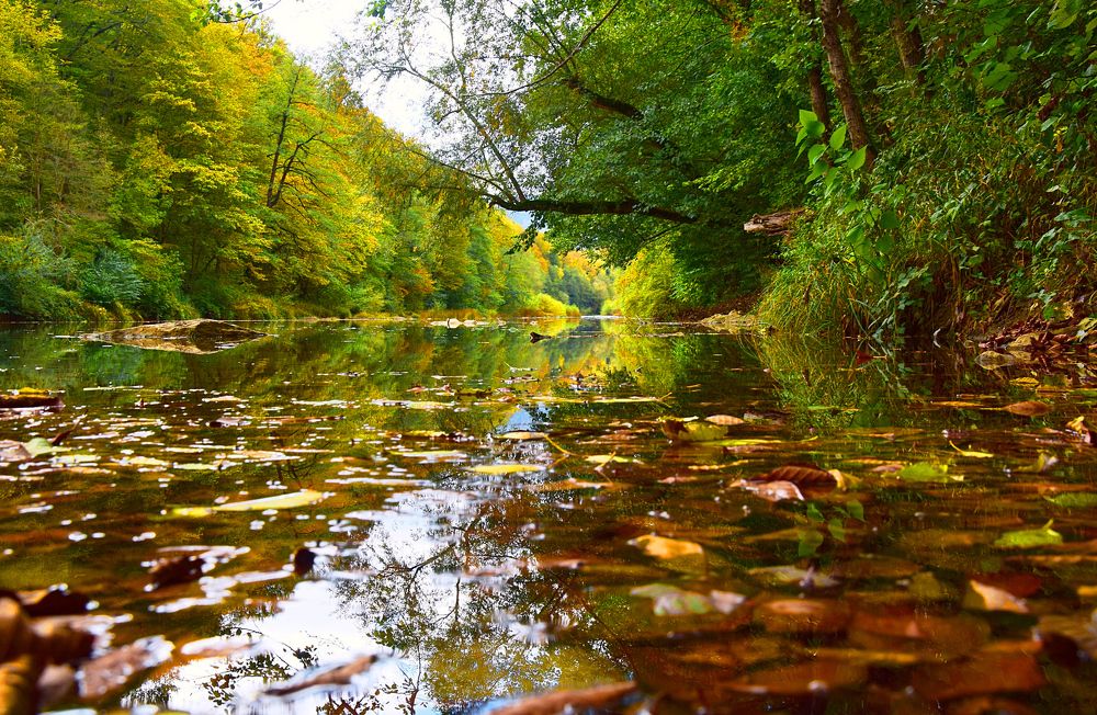 Photograph by Margo Margo