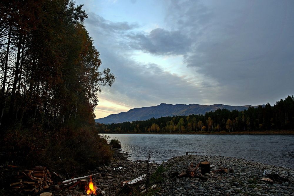 Photo #6177341