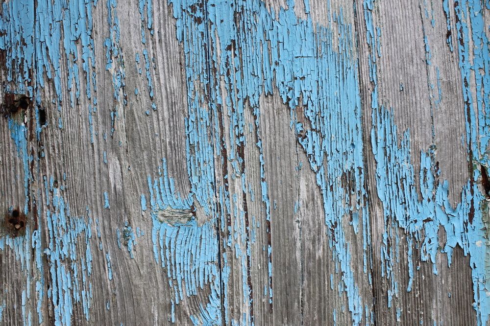 Photograph by João Ferreira