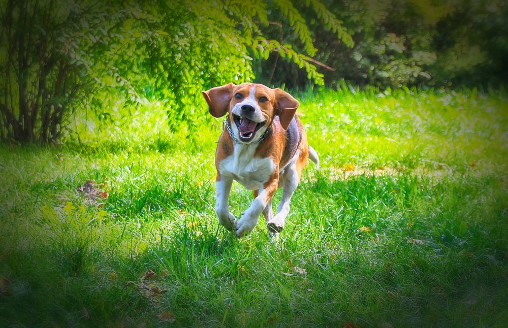 Photograph by Юрий Петруняк