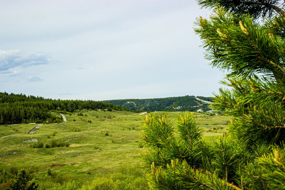Просторы Поволжья