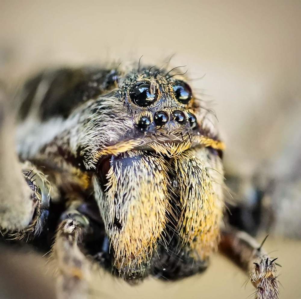 Photograph by Karina Elena Bergagna