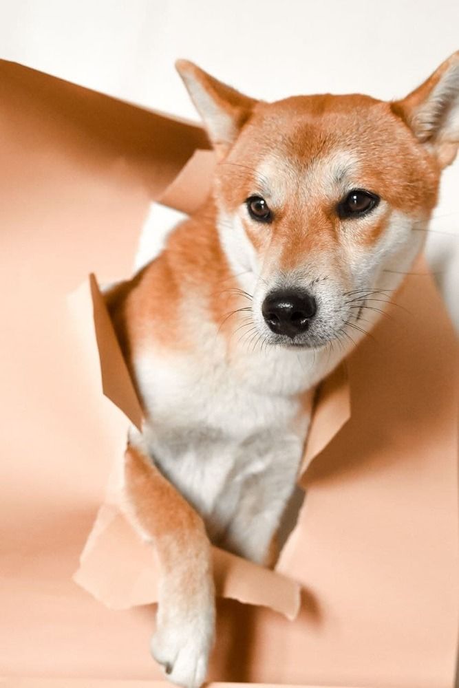 Photograph by Tata Glazkova