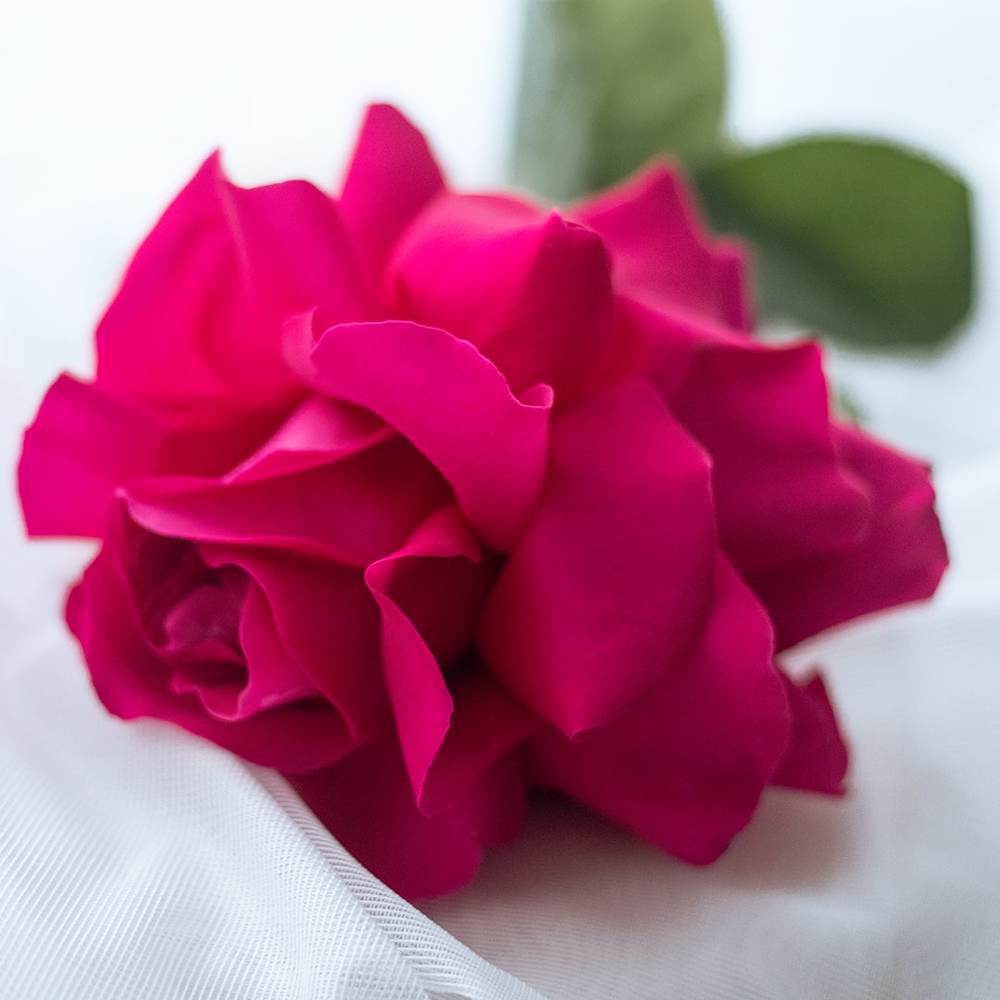 Photograph by Анастасия Биончик