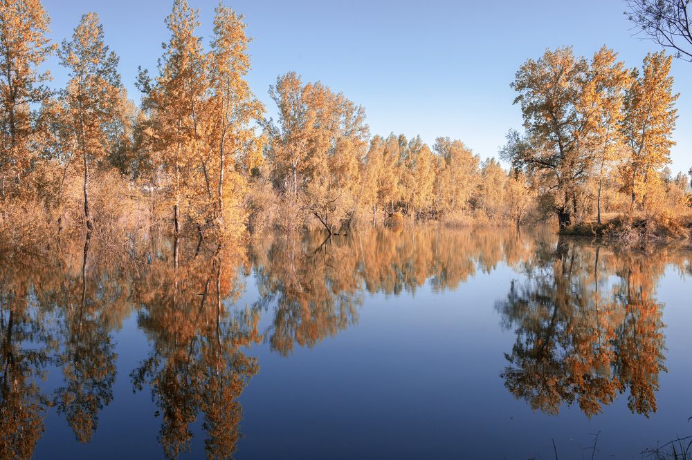 Photograph by Оксана Корчагина