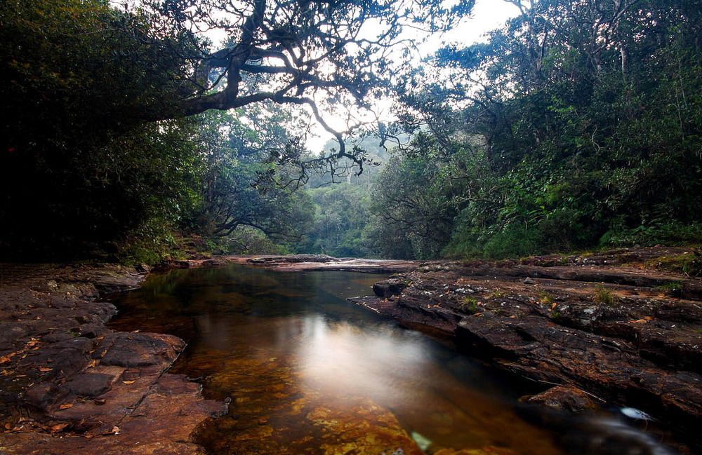 Photograph by Harsha Matarage