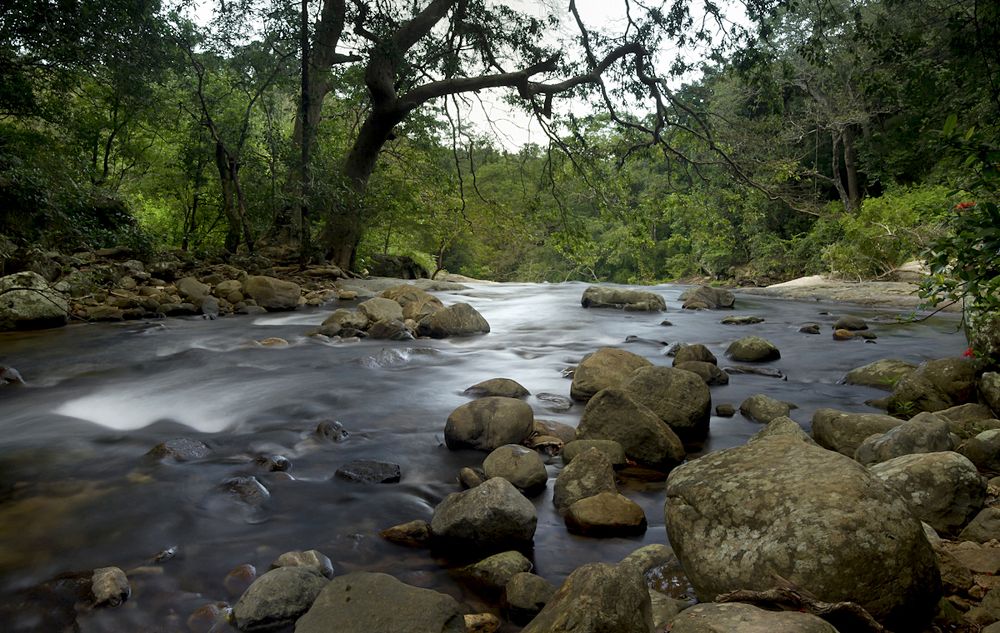 Photograph by Harsha Matarage