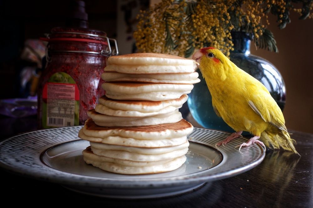 Photograph by Зорин Миша