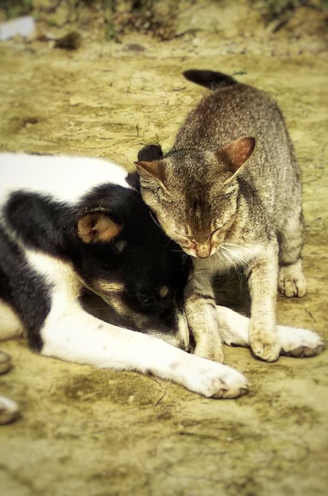 Photograph by Monuj Kr Dutta