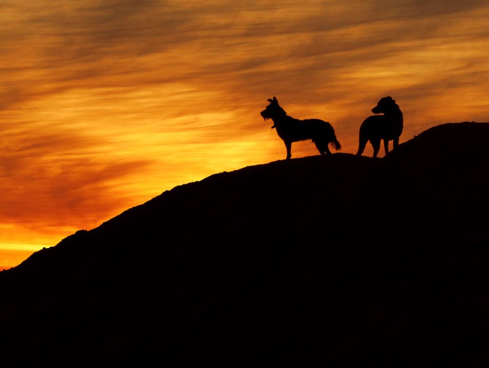 Photograph by Ромил Федоров