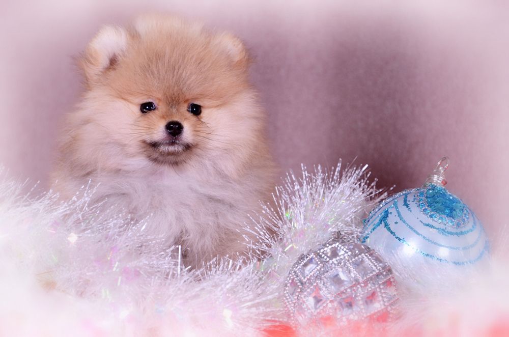 Photograph by Ромил Федоров