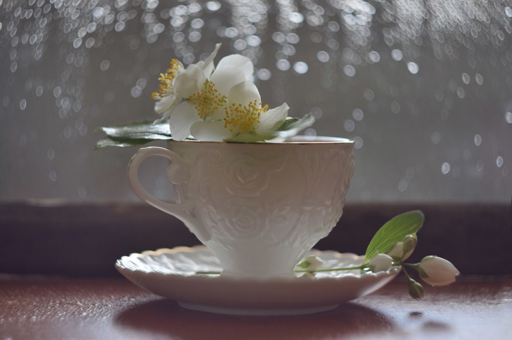 Photograph by Елена Войнова