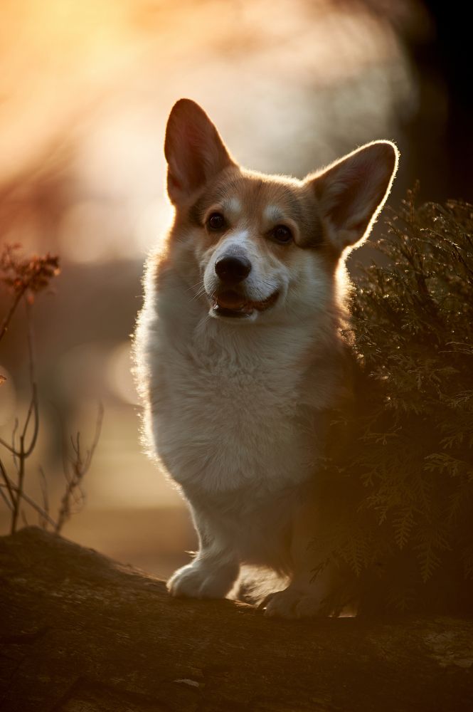 Фотография автора Дарина Матасова