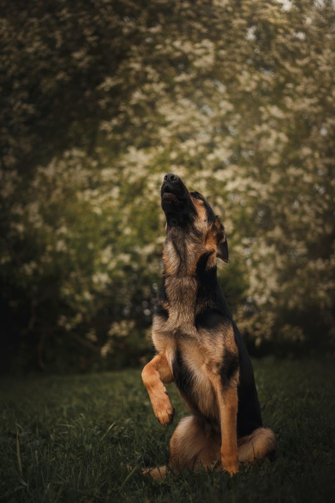 Photograph by Anna Zhidkova