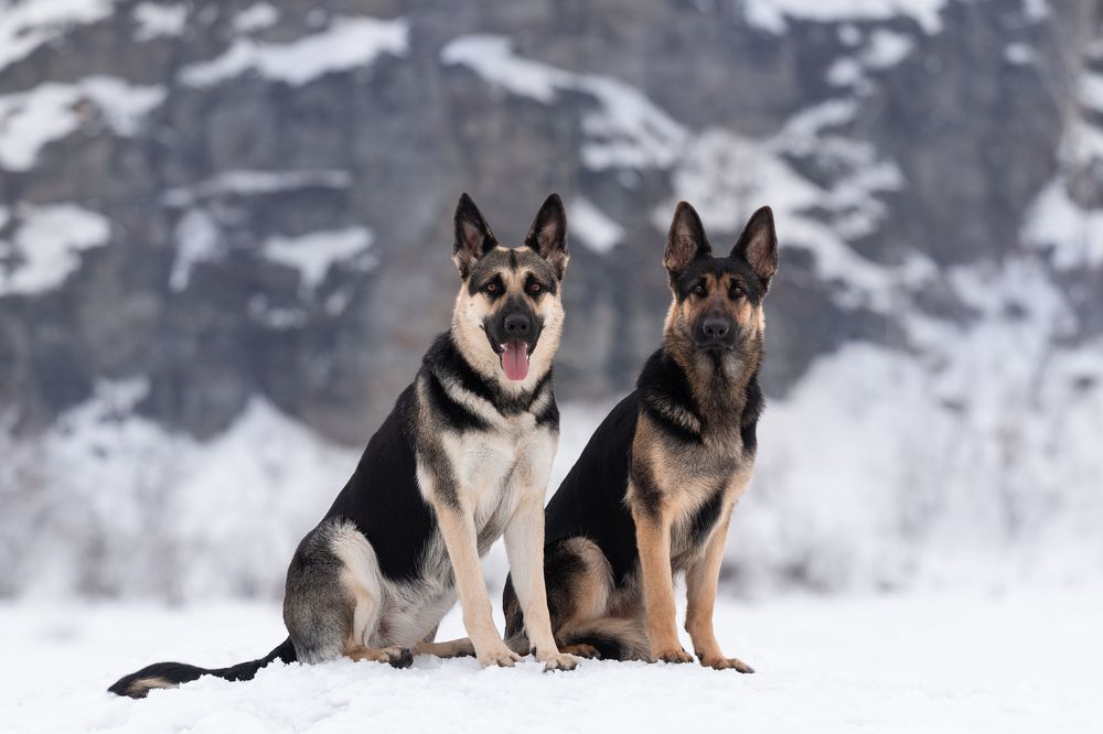 Photograph by Anna Zhidkova