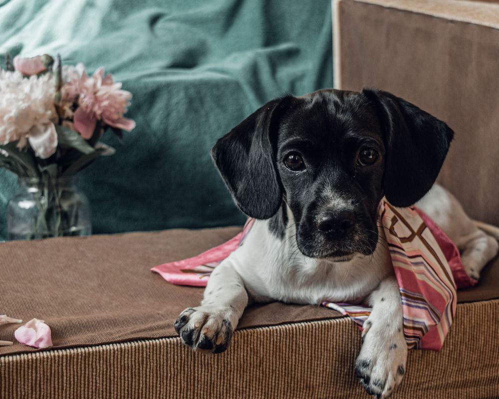 Photograph by Елена Квасова