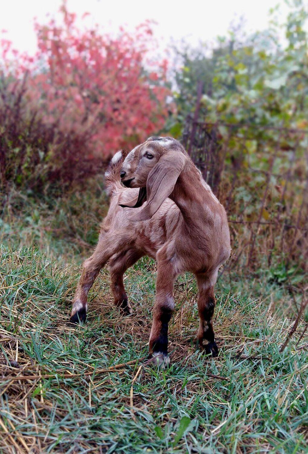 Photo #6177712