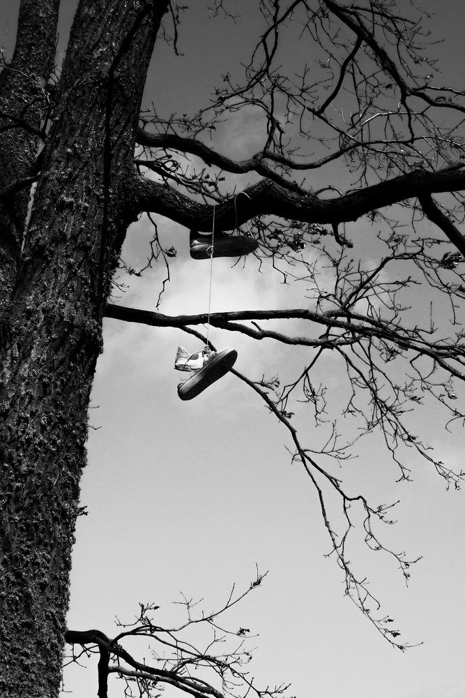 Photo #6177765