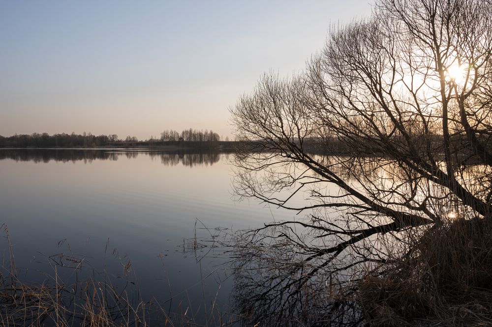 Photograph by Гусева Юлия