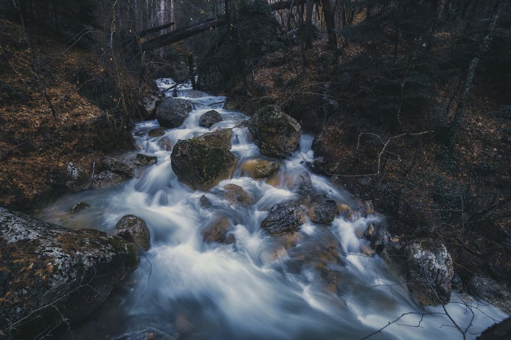 Photograph by Николай Ковтун