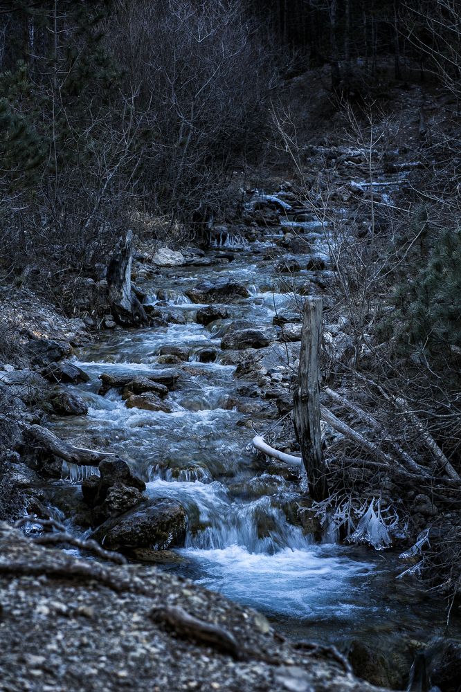 Photograph by Николай Ковтун