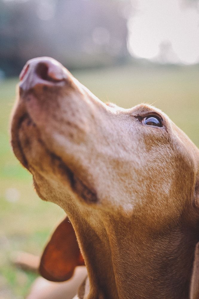 Фотография автора Olivia Velarde