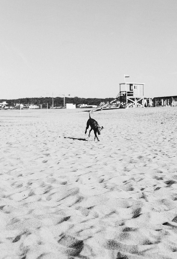 Фотография автора Olivia Velarde