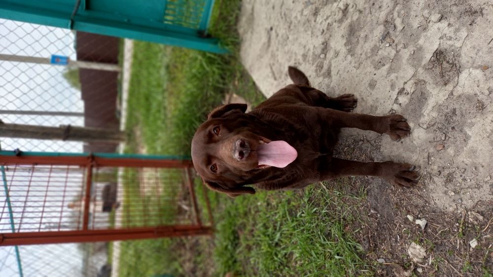 Photograph by Людмила Балакина