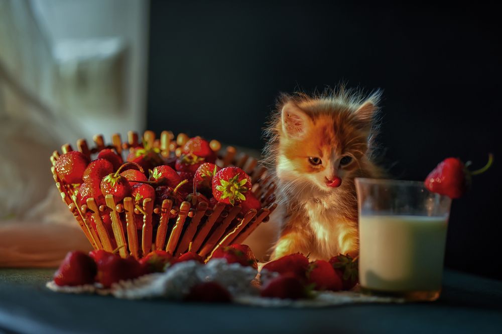 Фотография автора Светлана Лукьянова