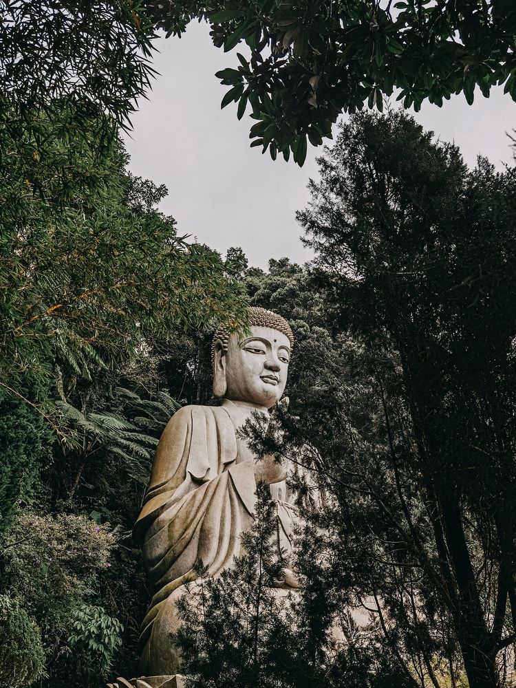 Photograph by Selvanathan Udayakumaran